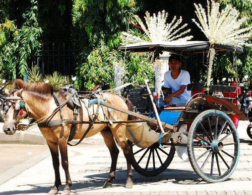Jakarta horse carriage, Jakarta tourist spot, Jakarta tour, Jakarta trip, Day trip Jakarta